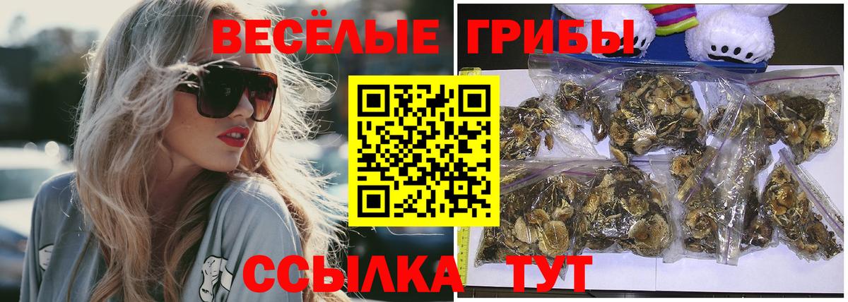 Галлюциногенные грибы Cubensis Серов